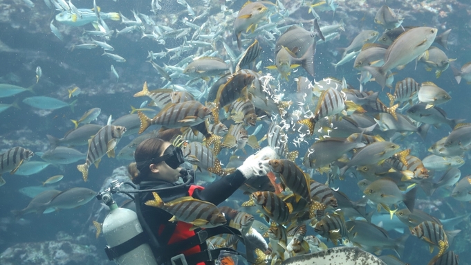 【下田海中水族館入場券付】イルカと遊べる人気の施設！レストラン食／露天風呂付客室